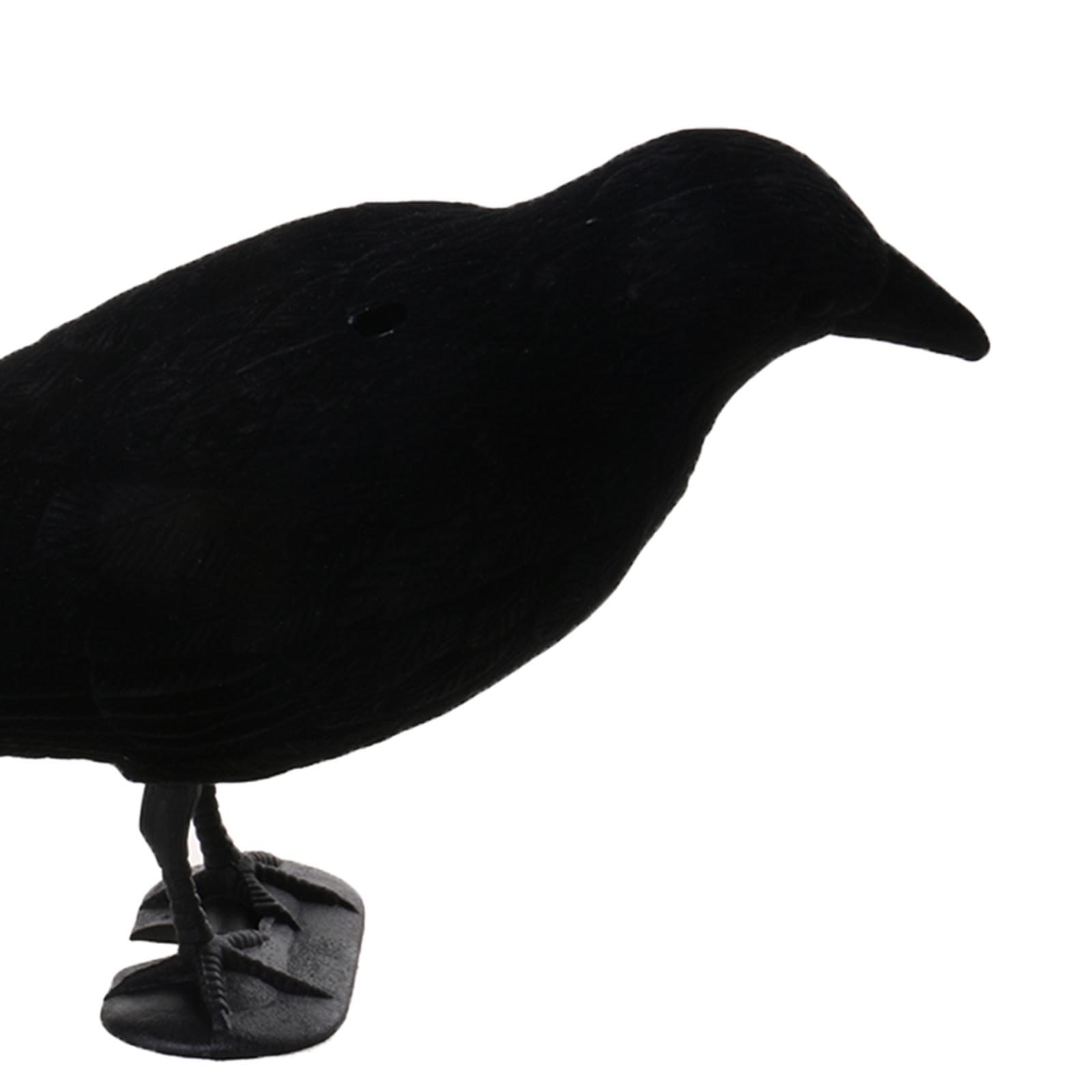 カラスの擬態動物トラップ、鳥の狩猟用模擬器具、屋外狩猟用品 - Hunting And Outdoor Supplies のレビューと価格