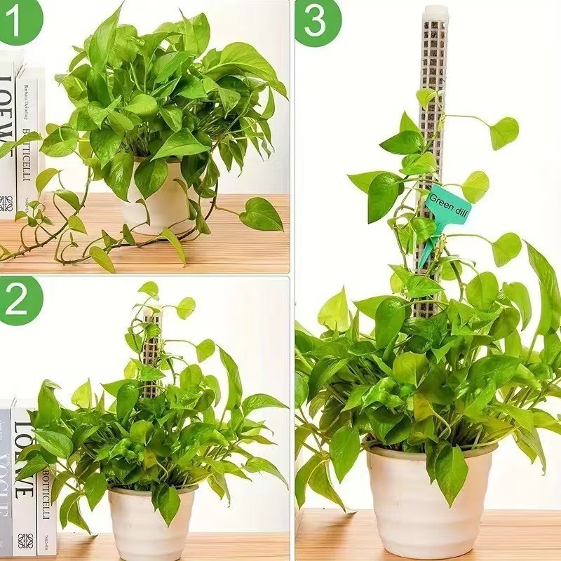 1/2/3個入り 自動給水モス支柱 積み重ね可能な植物スタン - Tree Stand Ladder のレビューと価格